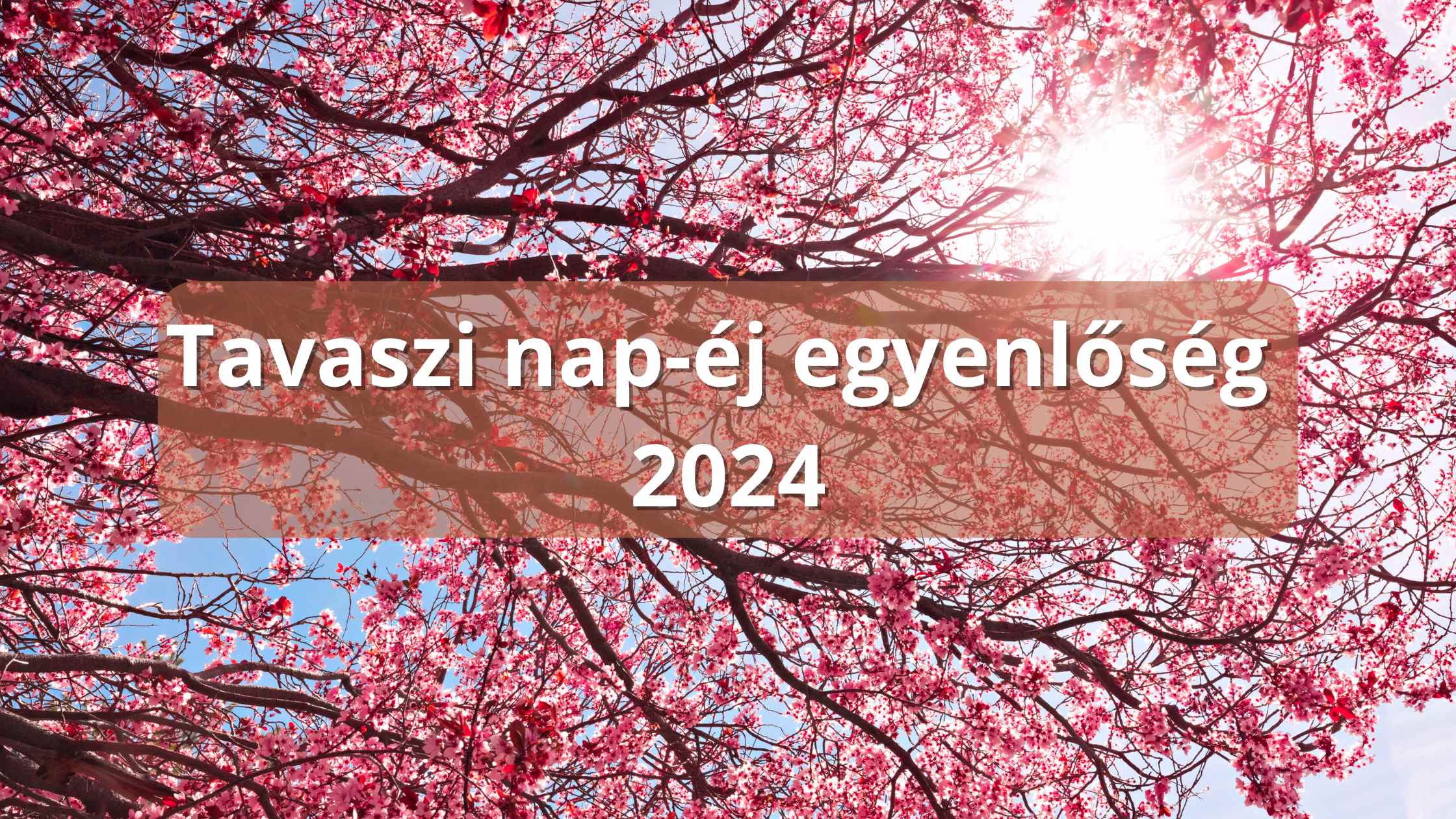 tavaszi napéj 2024 2