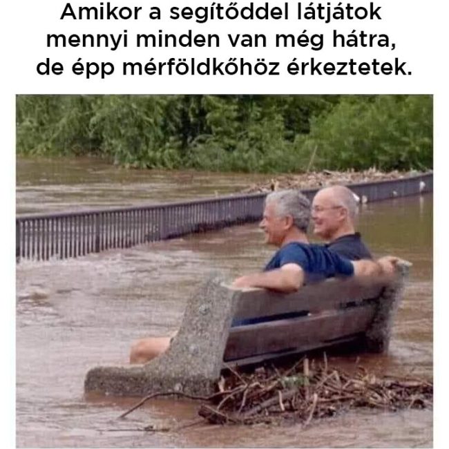 terappal